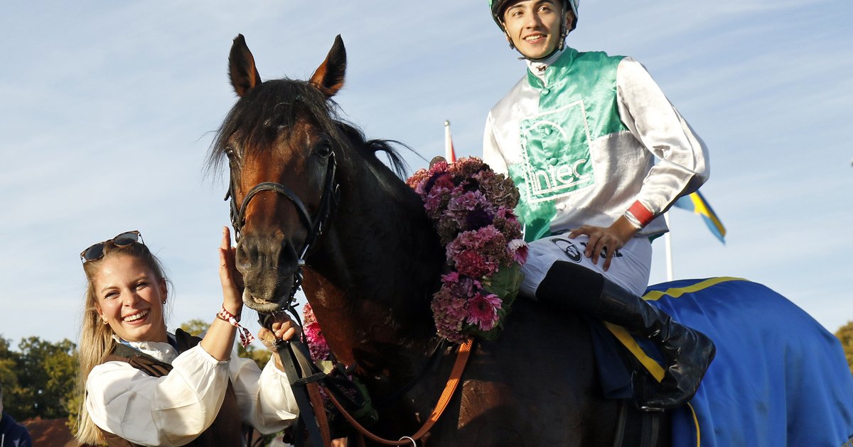 Best Of Lips wins Stockholm Cup International - Horse Racing Sweden