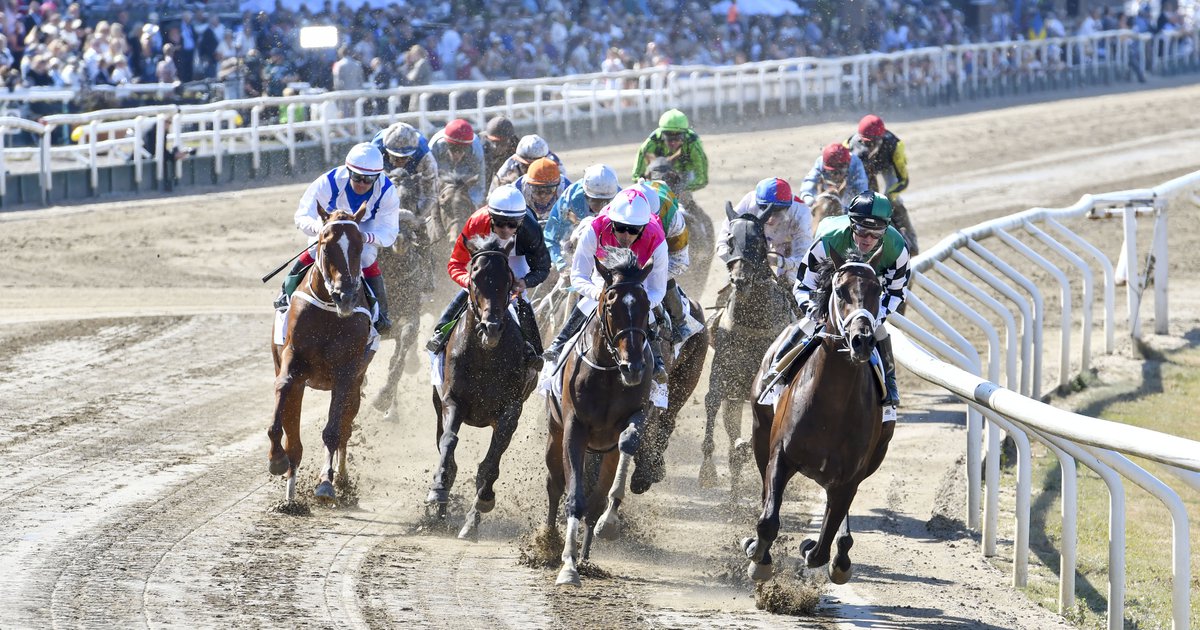 8++ Jagersro horse racing results today best pedictions
