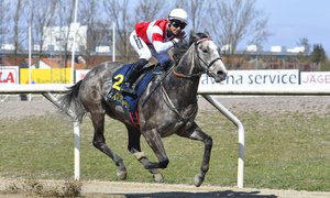 Duca Di Como wins the ITM Spring Mile 2020.jpg