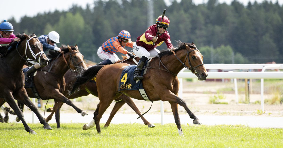 Blacktype racing at Bro Park on 14 June download the racecard here