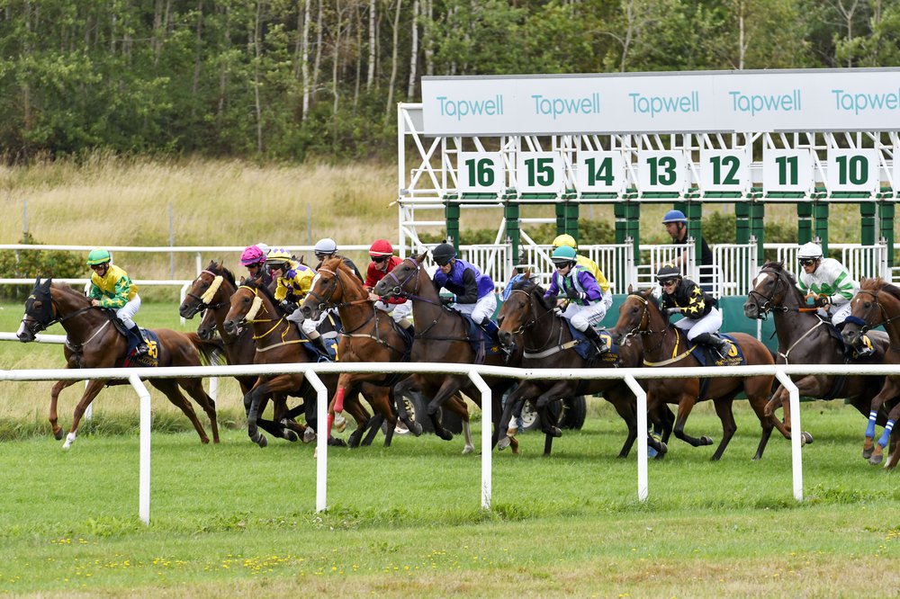 Start med startboxar på Göteborg Galopp.jpg