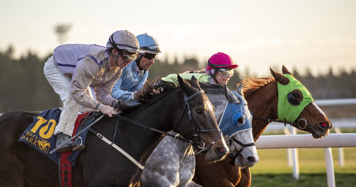 Swedish horse racing bans the whip Horse Racing Sweden