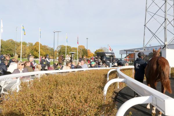 auktionsring 1